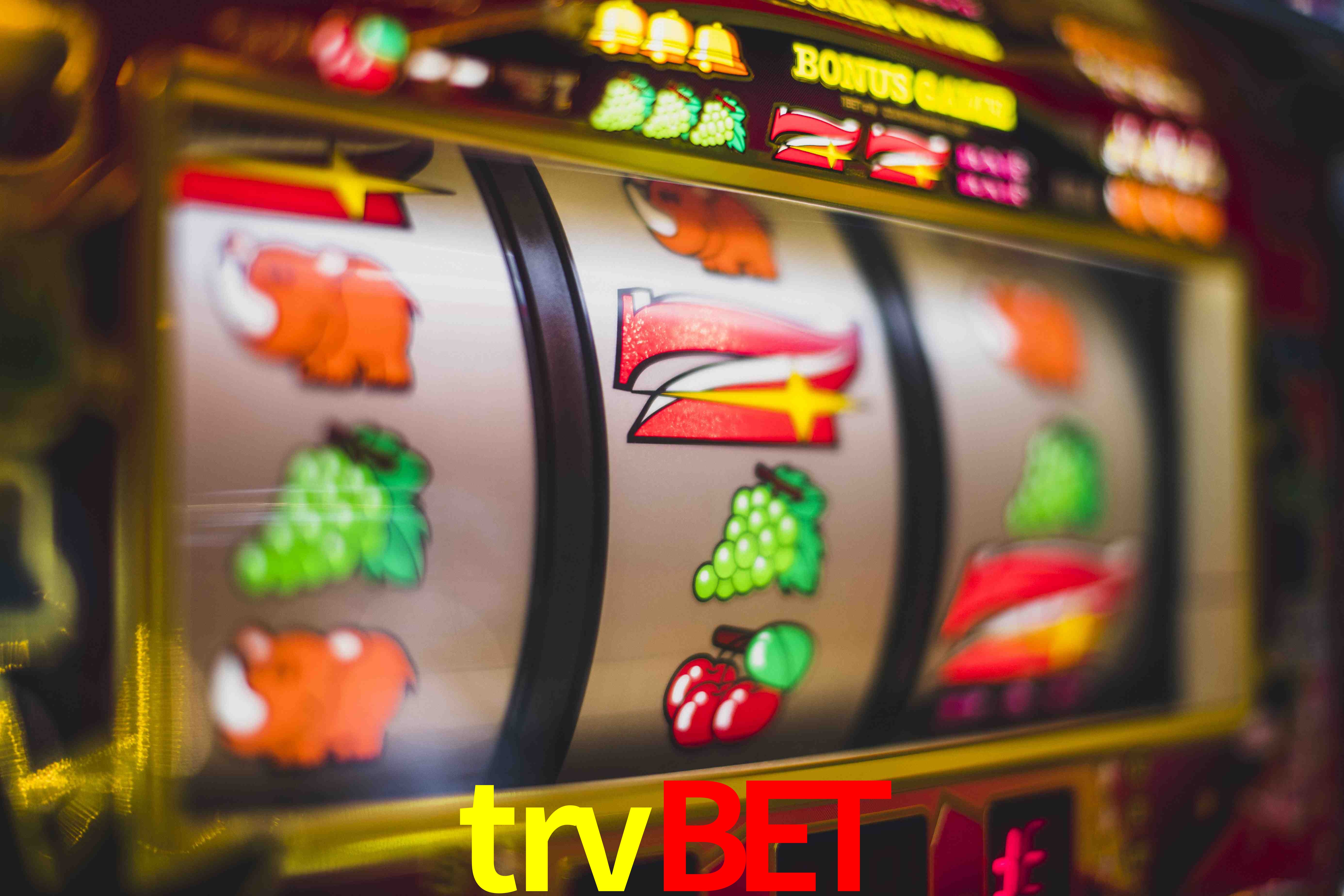 Sports Statistics trvbet